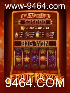 Explorando FruitNova: Um Mergulho Nas Regras e Diversão do Novo Jogo de Cassino